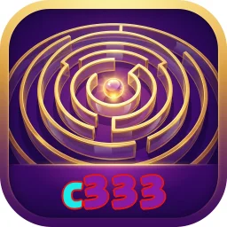 c333